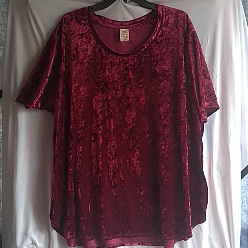 Plus velour top